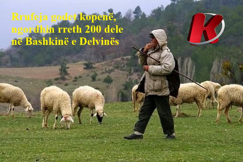 rrufeja-godet-kopene-ngordhin-rreth-200-dele-ne-bashkine-e-delvines