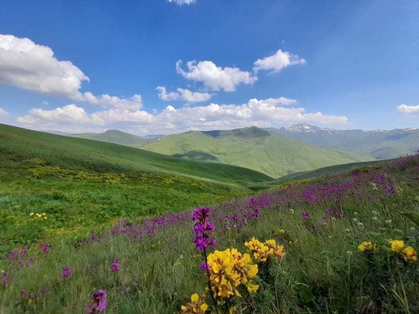 moti-sot-ne-maqedonine-e-veriut